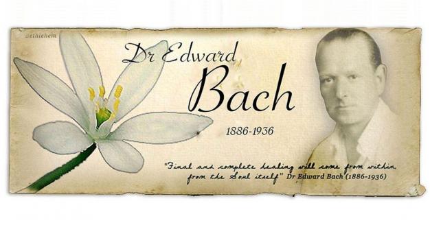 Citations docteur bach